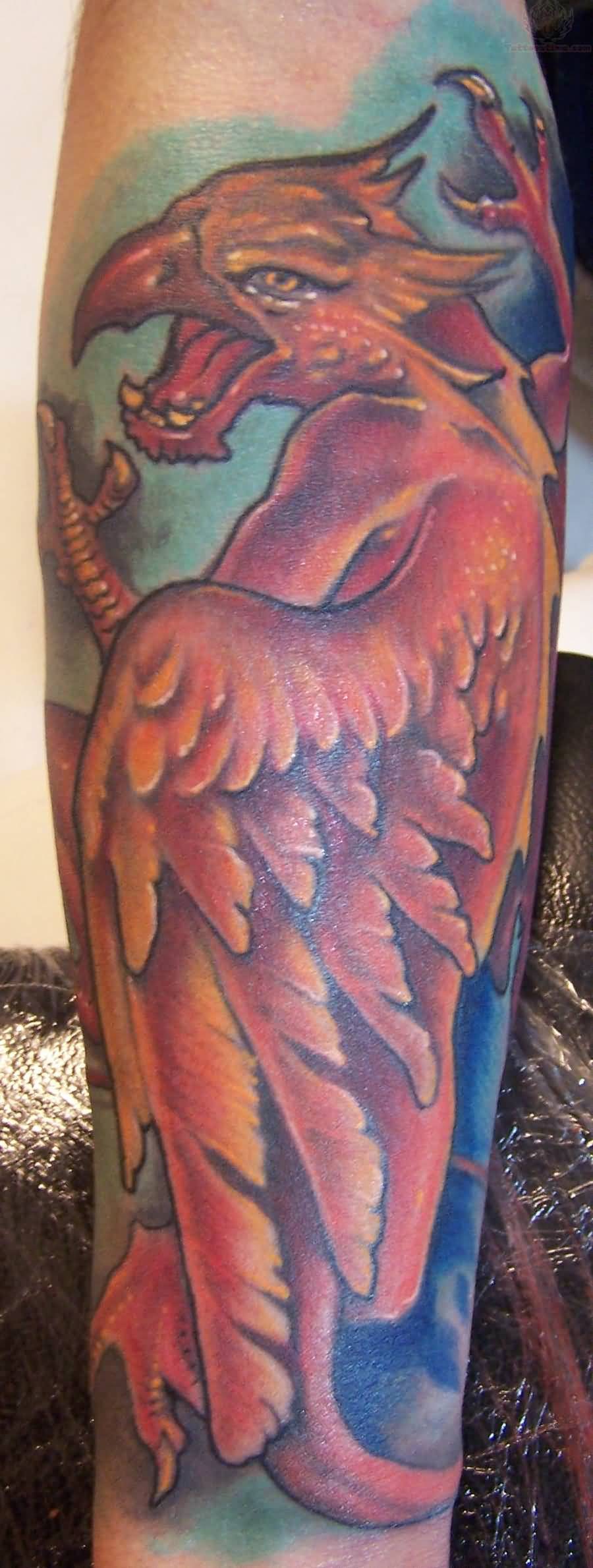 Griffin Colorful Tattoo On Forearm