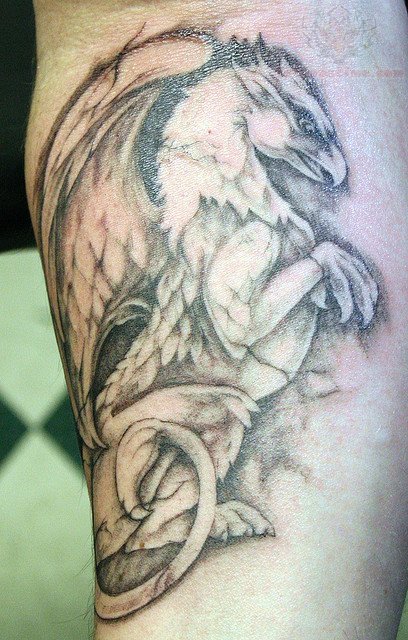Griffin Sitting Tattoo On Forearm