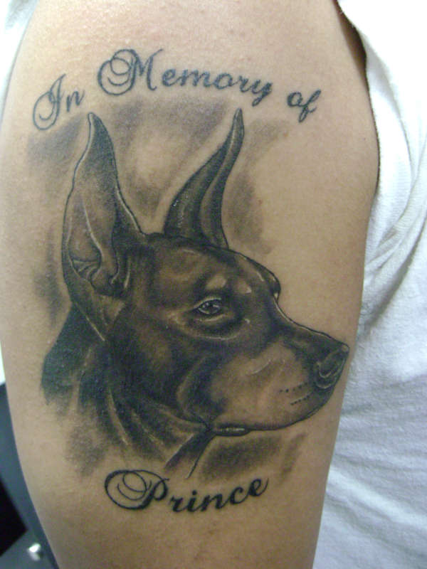 In Memory Of Prince Doberman Tattoo On Half Sleeve