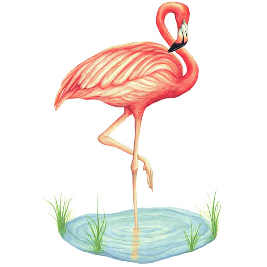 Incredible Flamingo Standing On One Leg In Water Tattoo Design