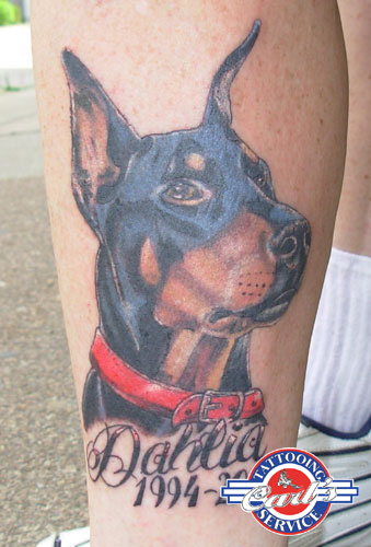 Nice Doberman Face Tattoo On Leg