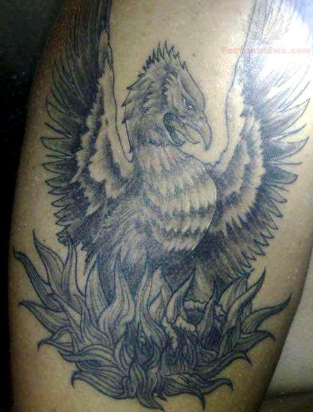 Phoenix Griffin Tattoo