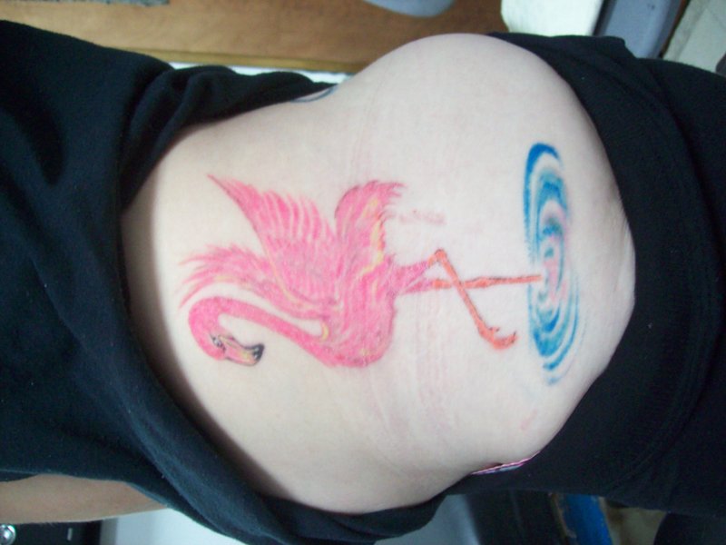 Pink Flamingo Standing On One Leg In Water Tattoo