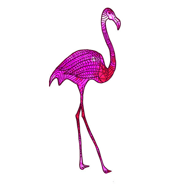 Pink Flamingo Temporary Tattoo Design By Christian Pleasant