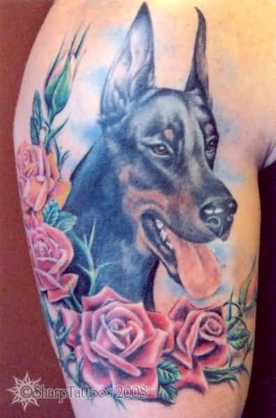 Realistic Doberman Head With Red Roses Tattoo On Leg