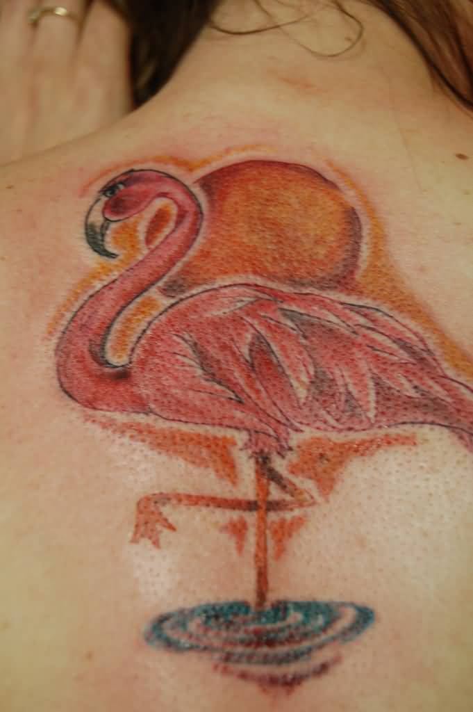 Red Flamingo Standing On One Leg In Water With Sun Tattoo On Upper Back