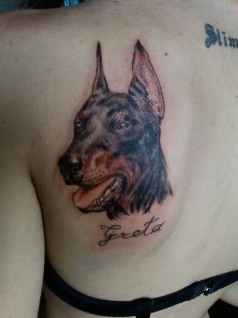 Small Awesome Doberman Head Tattoo On Left Side Of Back