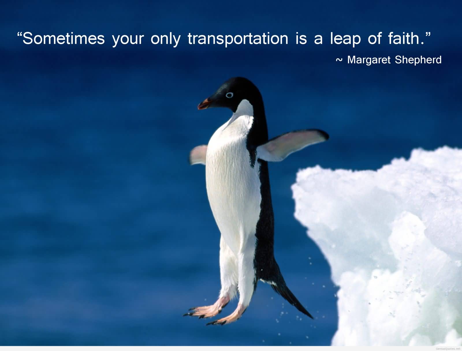 Sometimes your only available transportation is a leap of faith - Margaret Shepard