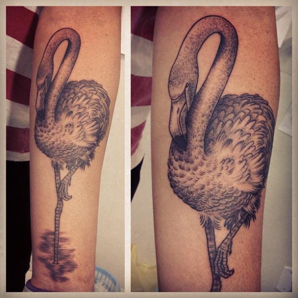 Superb Flamingo Tattoo On Forearm