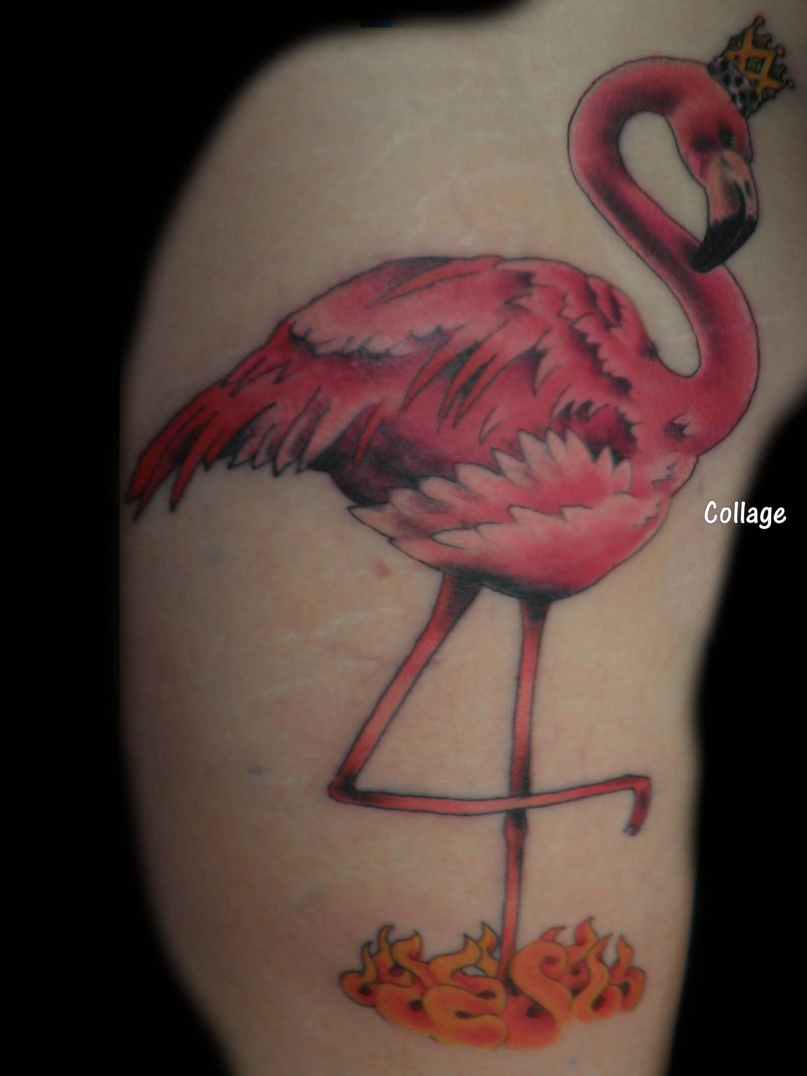 Traditional Flamingo Wearing Sworn Tattoo