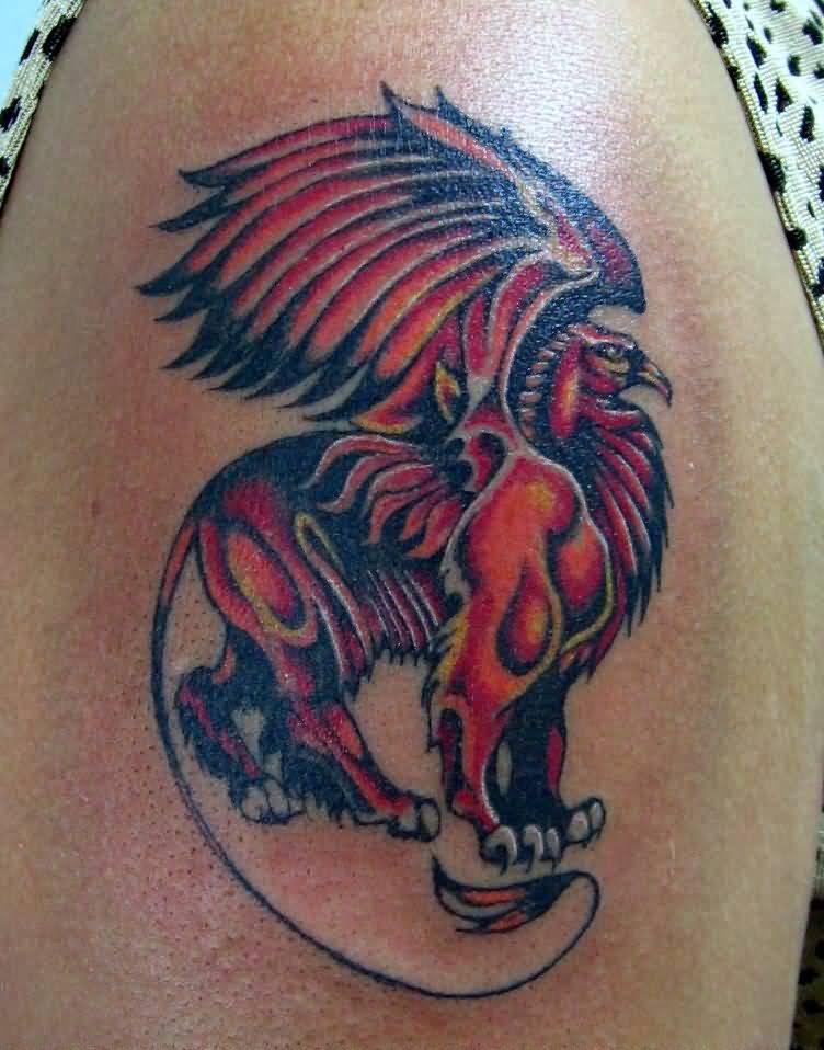 Very Cool Black And Red Griffin Tattoo On Right Shoulder