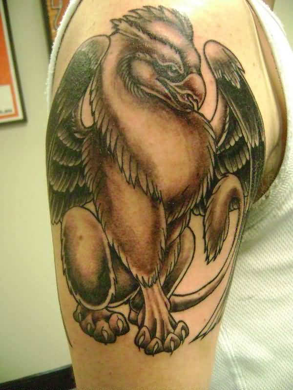 Very Nice Colored Griffin Tattoo On Shoulder For Male