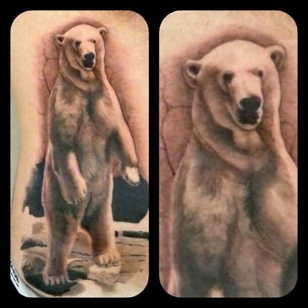 Black And Grey Realistic Polar Bear Tattoo By Merrick Ames