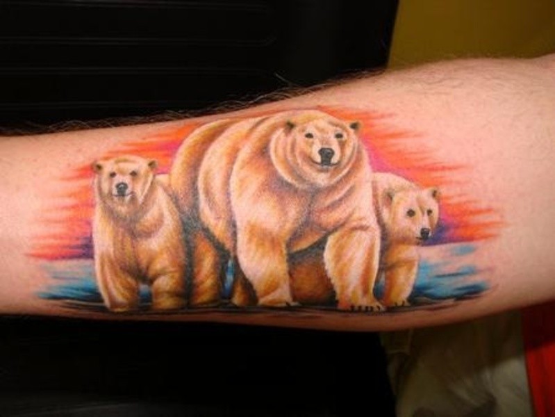 Colorful Family Of Polar Bear Tattoo On Forearm