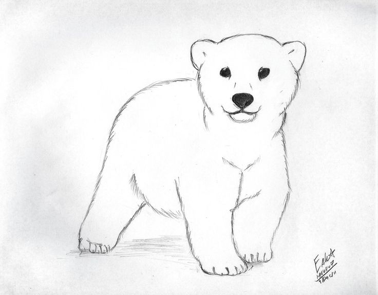Cute Outline Baby Polar Bear Tattoo Design By Hauru7