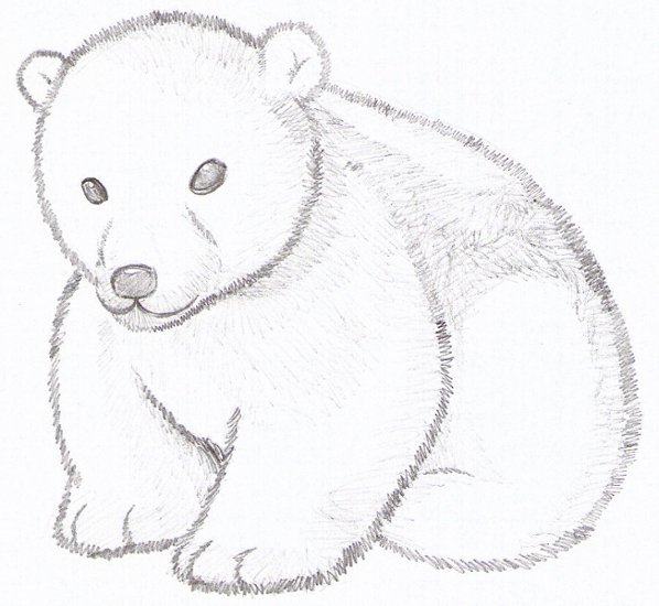 Cute Outline Baby Polar Bear Tattoo Design