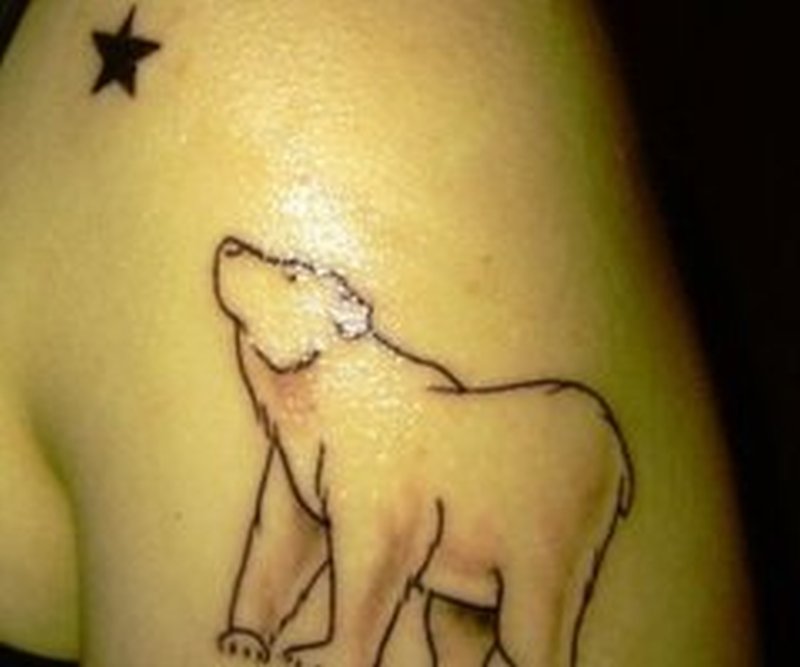 Cute Polar Bear Looking At Star Outline Tattoo