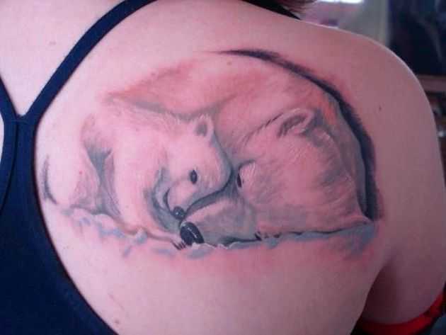 Polar With Baby Polar Tattoo On Right Shoulder
