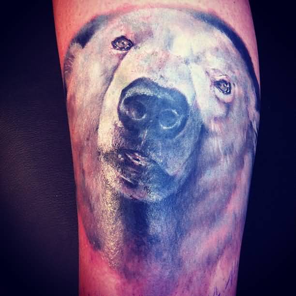 Realistic Portrait Of Polar Bear Tattoo
