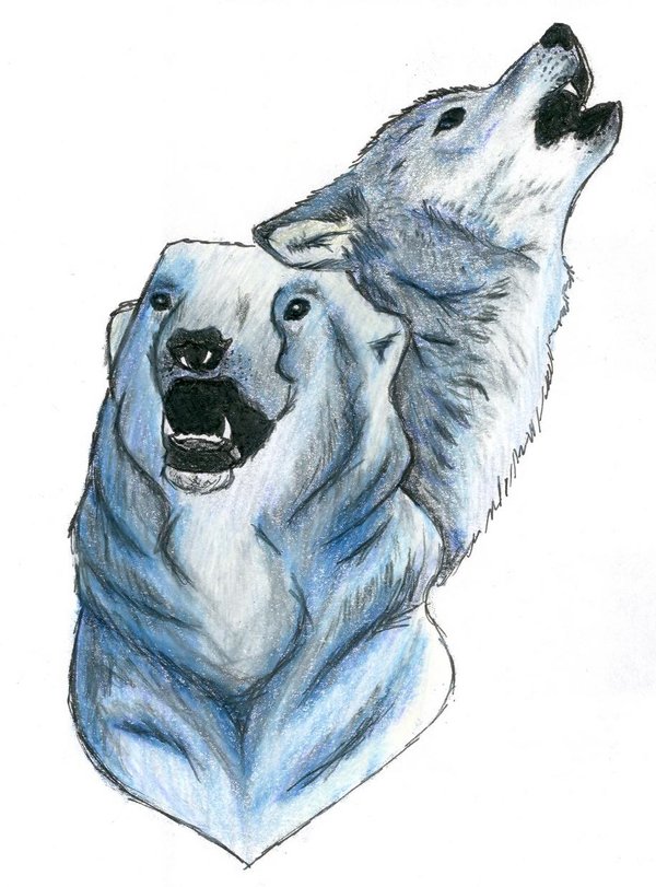 Roaring Wolf And Polar Bear Heads Tattoo Design By Tsunami