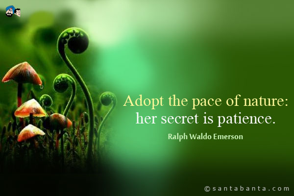 Adopt the pace of nature her secret is patience. - Ralph Waldo Emerson