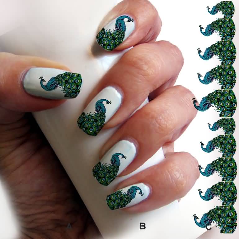 Amazing Peacock Feather Nail Art Design Idea