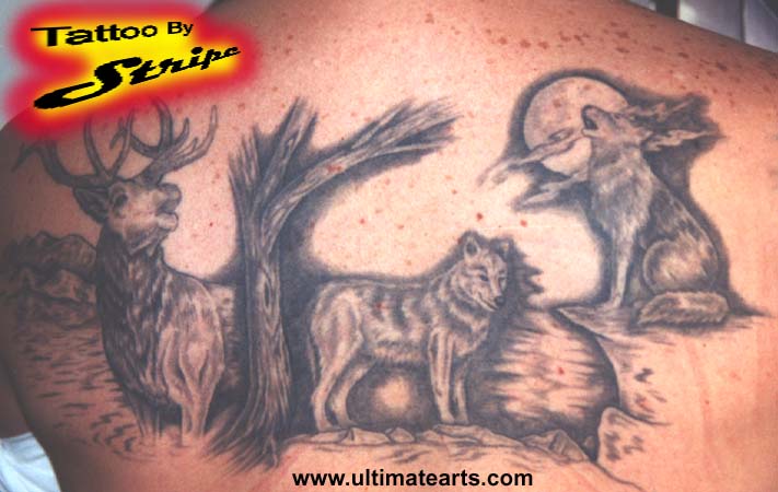 Black And Grey Coyote Tattoo On Upper Back