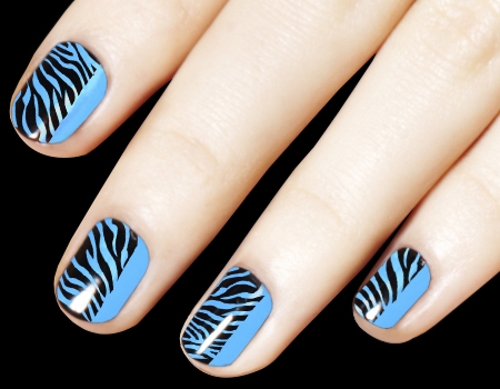 Blue And Black Zebra Print Nail Art