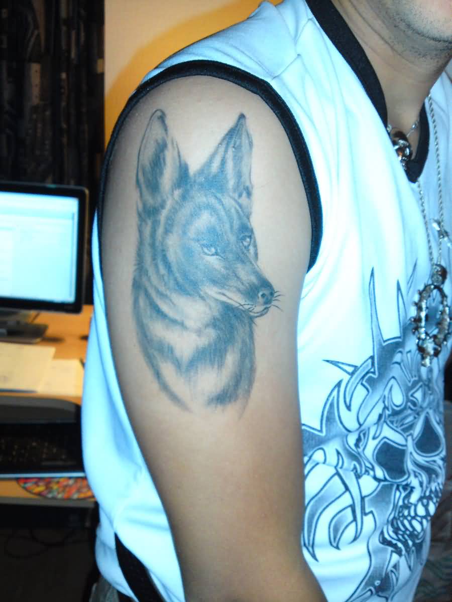 Coyote Tattoo On Man Right Shoulder by Noxuru Sephirothu