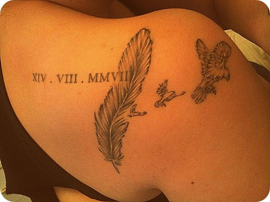 Extremely Beautiful Roman Numerals With Feather And Birds Tattoo On Back Shoulder