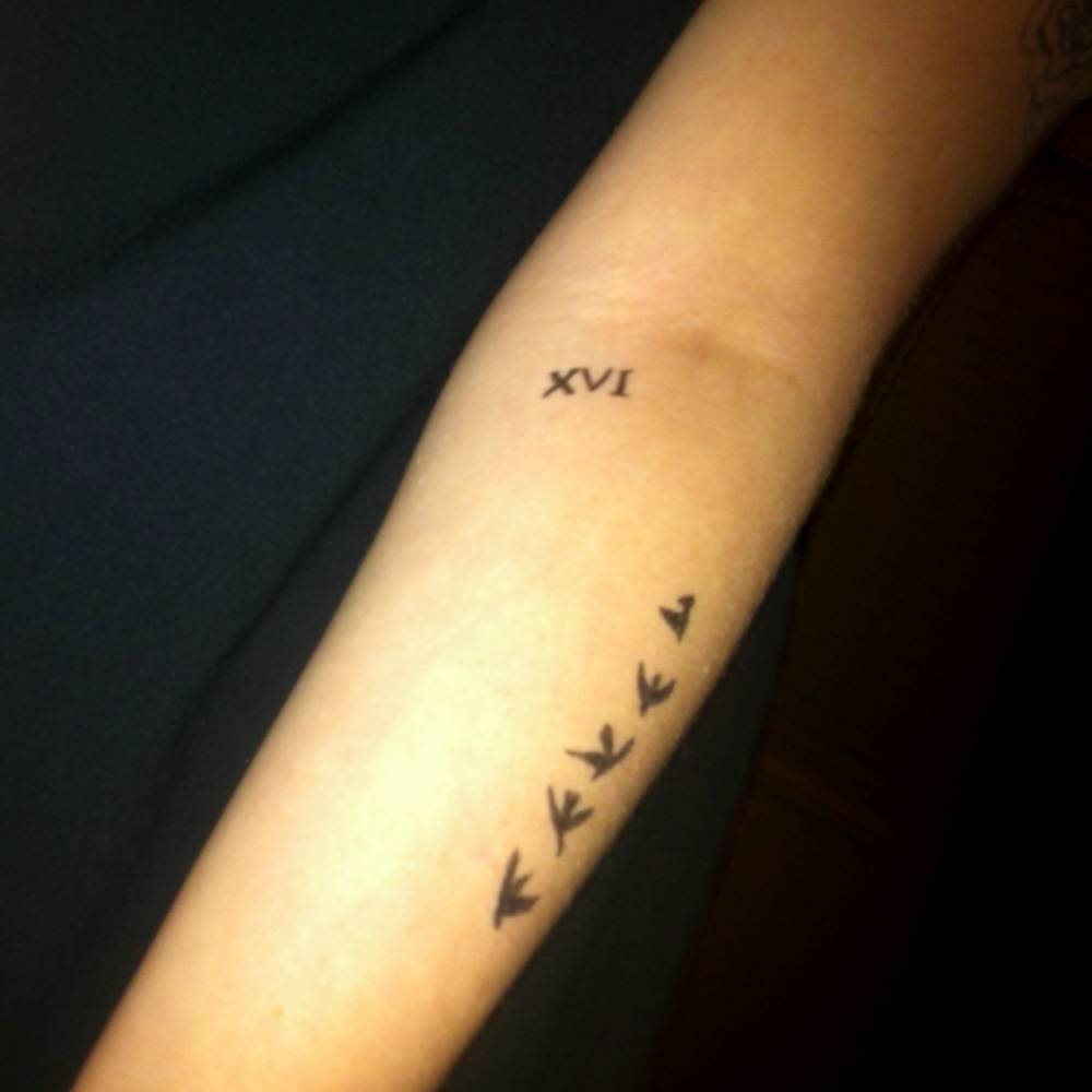 Five Birds And Roman Numeral Sixteen Tattoo On Arm Sleeve