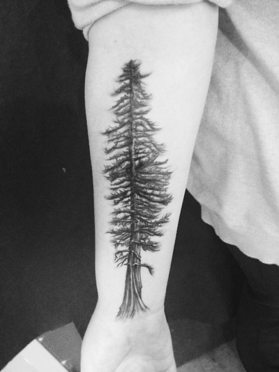 Forest Tree Tattoo On Right Forearm
