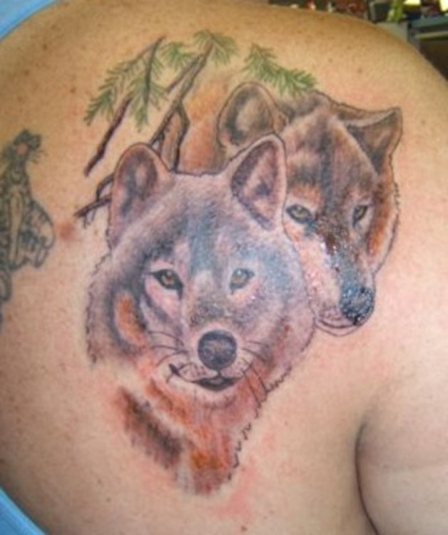 Forest Trees And Wolf Head Tattoos On Back Shoulder