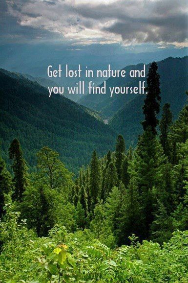 Get lost in Nature and you will find Yourself.