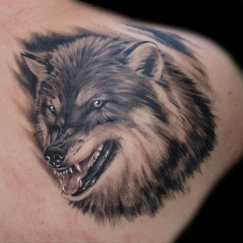 Grey Coyote Head Tattoo Design For Back Shoulder