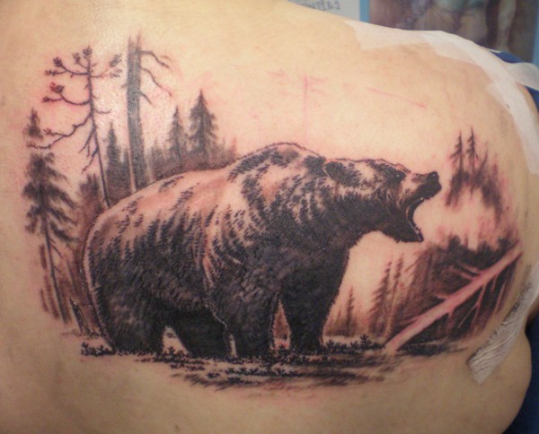 Grey Ink Angry Bear In Forest Tattoo On Right Back Shoulder