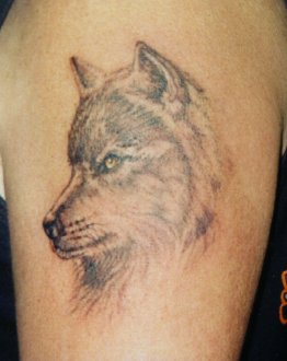 Grey Ink Coyote Head Tattoo