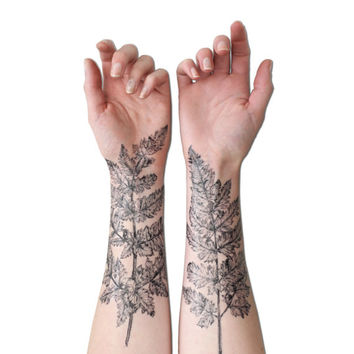Grey Ink Tree Tattoos On Both Forearm