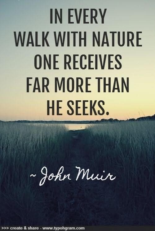 In every walk in nature one receives far more than he seeks - John Muir 2