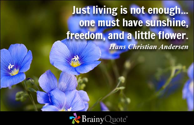 Just living is not enough... one must have sunshine, freedom, and a little flower - Hans Christian Anderson