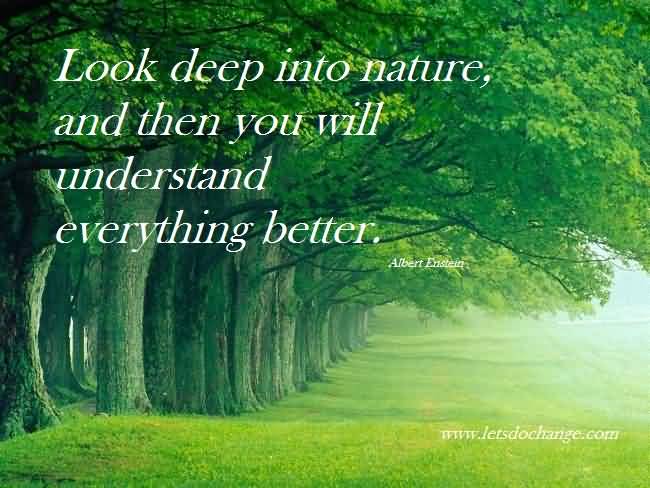 Look Deep Into Nature, And Then You Will Understand Everything Better - Albert Einstein