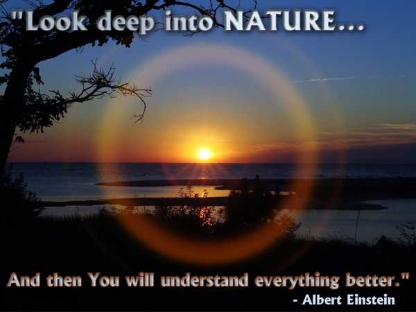 Look deep into Nature... and then you will understand everything better.  - Albert Einstein
