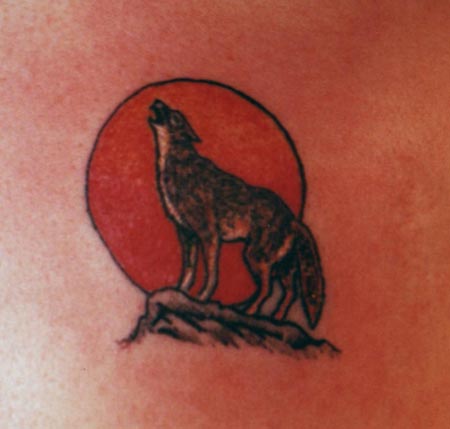 Moon And Howling Coyote Tattoo