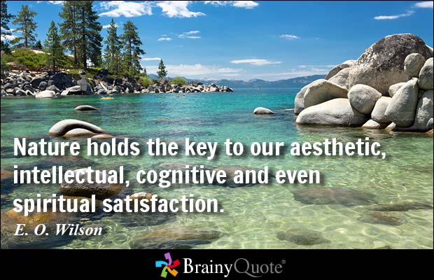 Nature holds the key to our aesthetic, intellectual, cognitive and even spiritual satisfaction. - E. O. Wilson