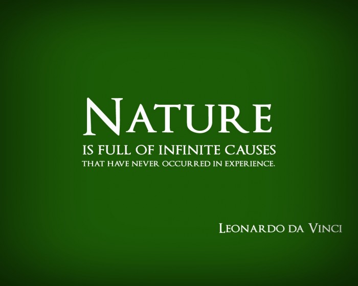 Nature is full of infinite causes that have never occurred in experience.  - Leonardo Da Vinci