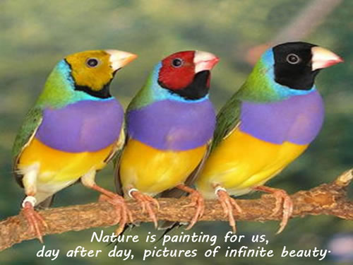 Nature is painting for us, day after day, pictures of infinite beauty - John Ruskin