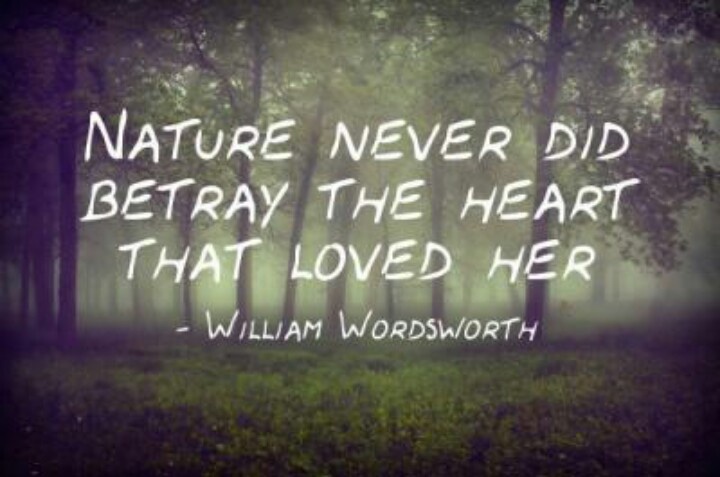 Nature never did betray The heart that loved her - William Wordsworth