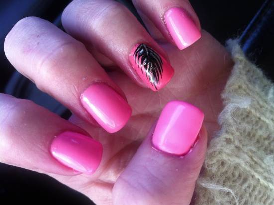Pink Nails With Accent Black Feather Nail Art