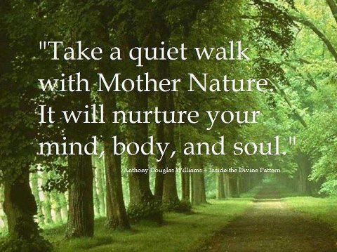 Take a quiet walk with Mother Nature. It will nurture your mind, body, and soul.-  A.D. Williams