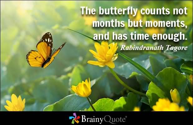 The butterfly counts not months but moments, and has time enough. - Rabindranath Tagore